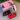 artery pal 動脈