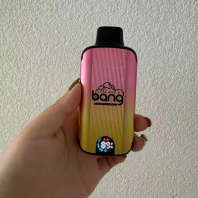 bang puffs dual mesh 雙網拋棄式電子煙