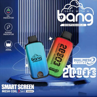 bang puffs dual mesh 雙網拋棄式電子煙