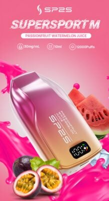 bang king puffs 大容量拋棄式電子煙