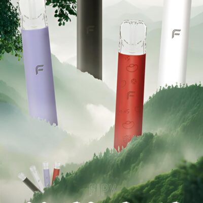 果派主機